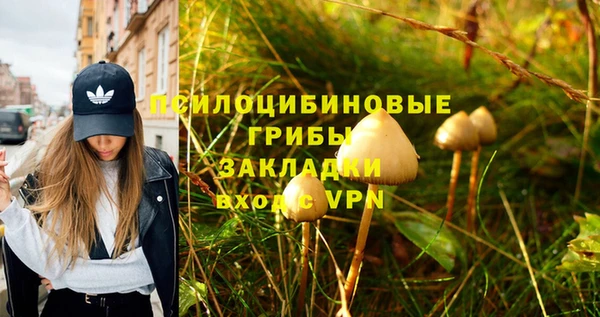 ECSTASY Чегем