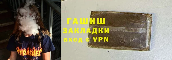 индика Чердынь