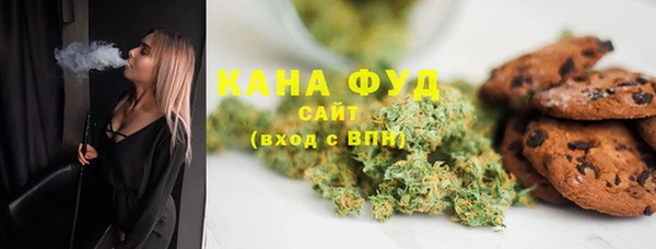 индика Чердынь