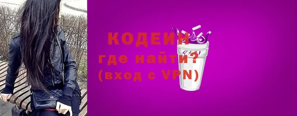 индика Фурманов