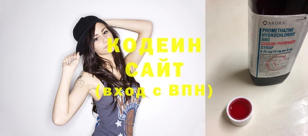 индика Чердынь