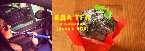 индика Чердынь