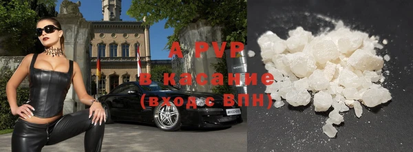 индика Чердынь