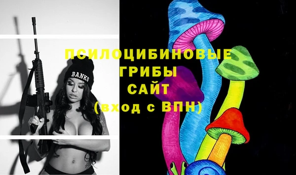 не бодяженный Чекалин